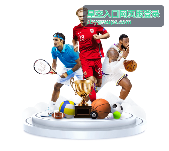 星空入口网页版登录 网络优化