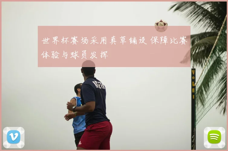 世界杯赛场采用真草铺设 保障比赛体验与球员发挥